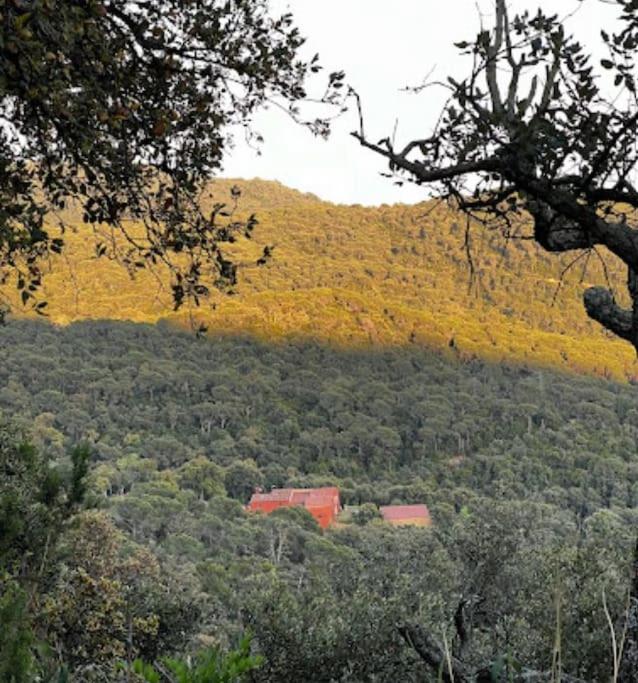 Masia Can Castellar Sant Iscle De Vallalta ภายนอก รูปภาพ